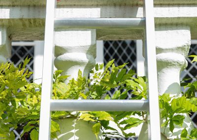 Pads For Ladders